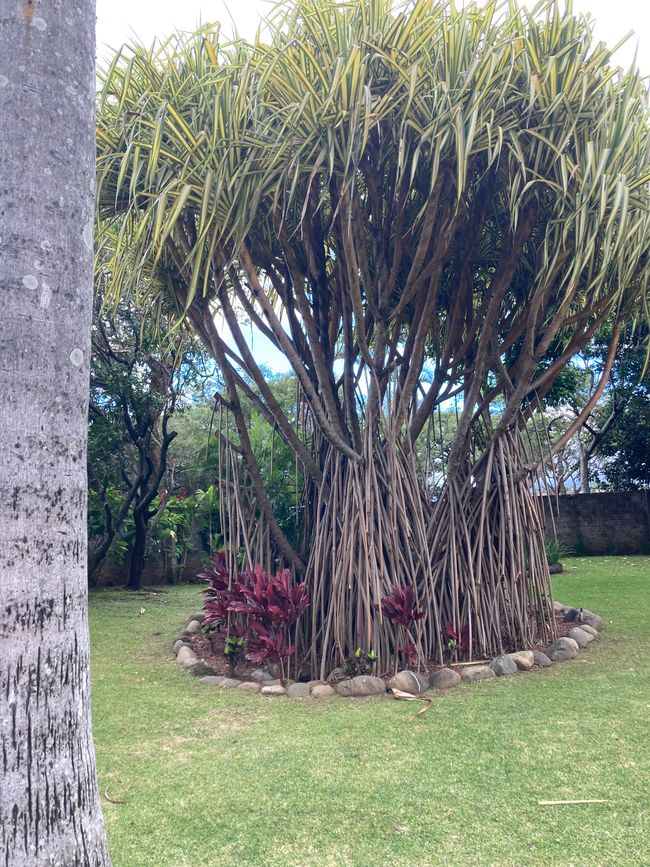 Interkontinental Hotel