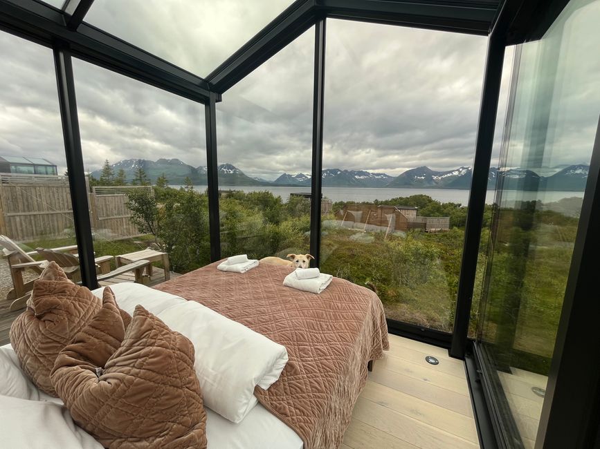 Time Out / Glamping