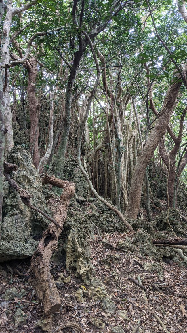 Parque Nacional Kenting
