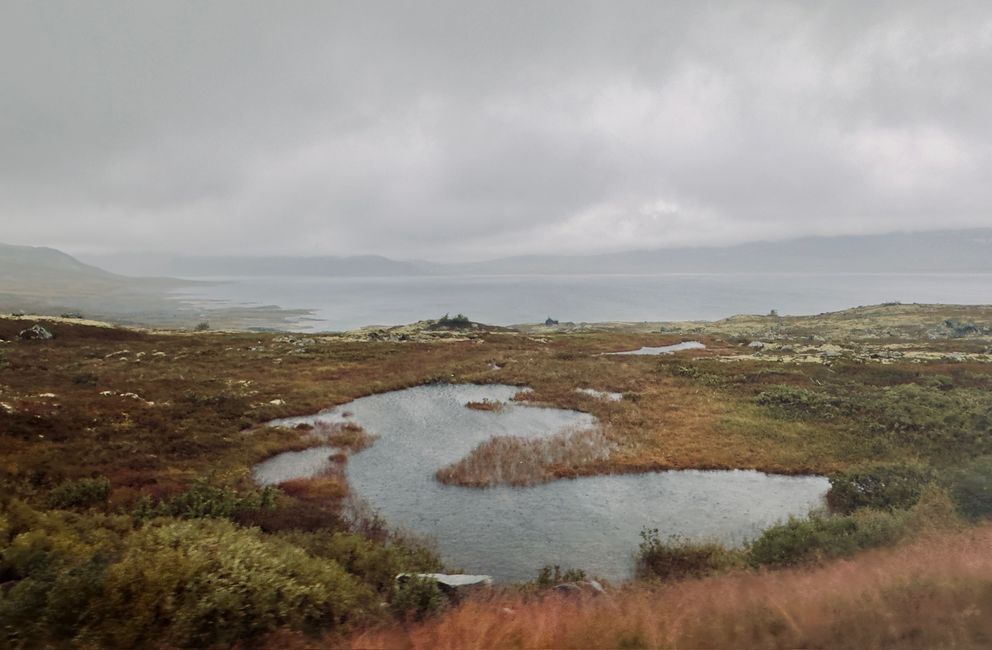 Reisetag - Regen, Nebel, Altbekanntes