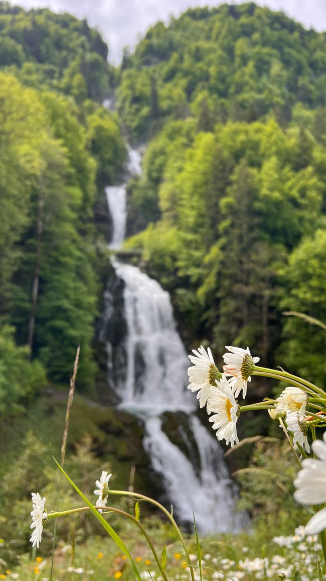 Home is where the heart is and my heart is with you