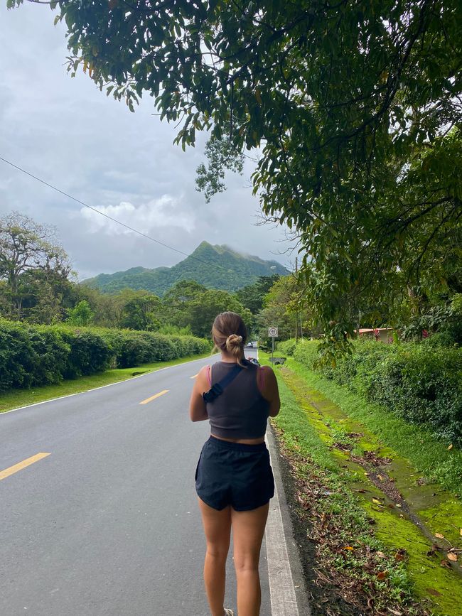Panama 🇵🇦 🌴