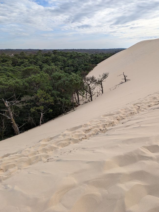 Destino: Arcachon