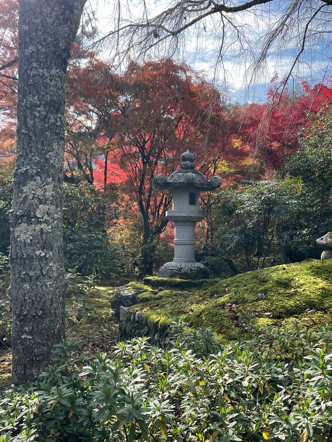23.Kapitel: Arashiyama oder ein Tag von vorne bis hinten gelungen