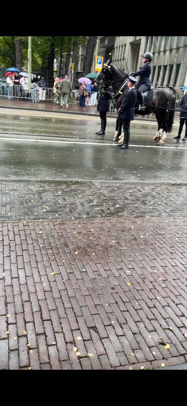 Verfolgt