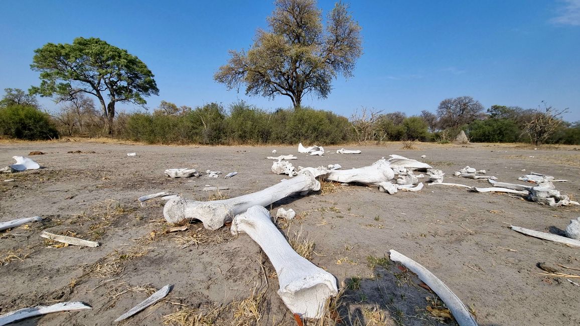 Simbabwe / Botswana 2024