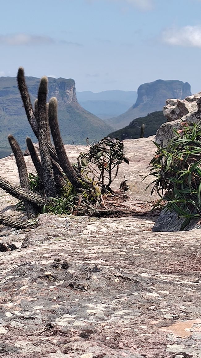 Brazil, on the way to the Diamante National Park