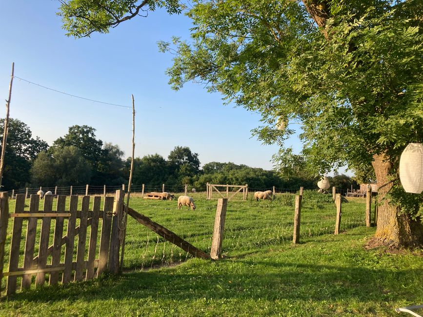 Friedland, wo alles so friedlich ist