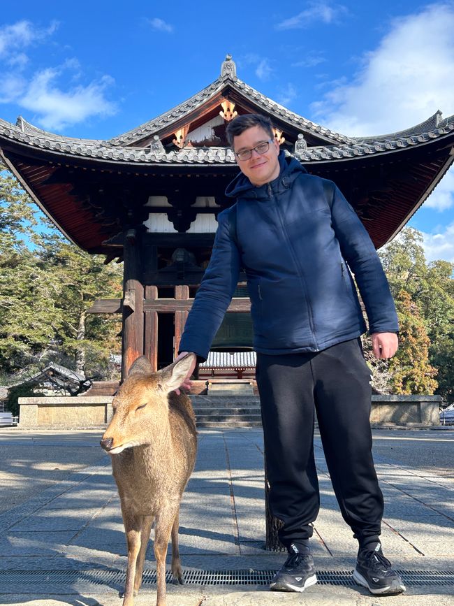Nara - 10th day