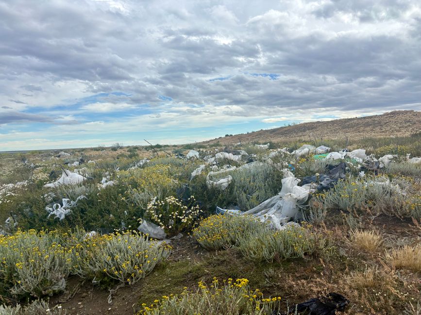 …instead of this, a lot of garbage blown from the nearby garbage bump.
