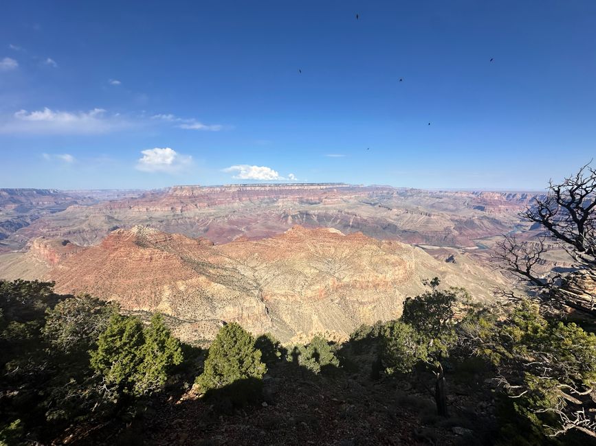 Lago Powell/ Horse Shoe/ Gran Cañón