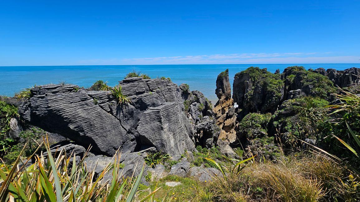 Charleston - Punakaiki - Greymouth - Arthur's Pass