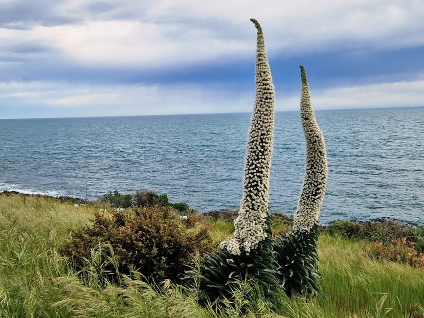 On Kangaroo Island