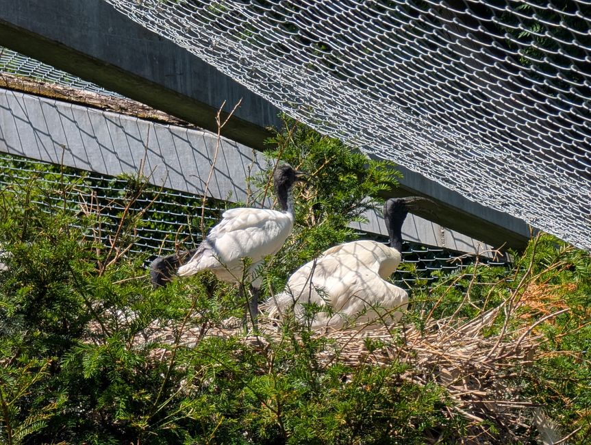 Ludwigsburg ● Blühender Barock Garten