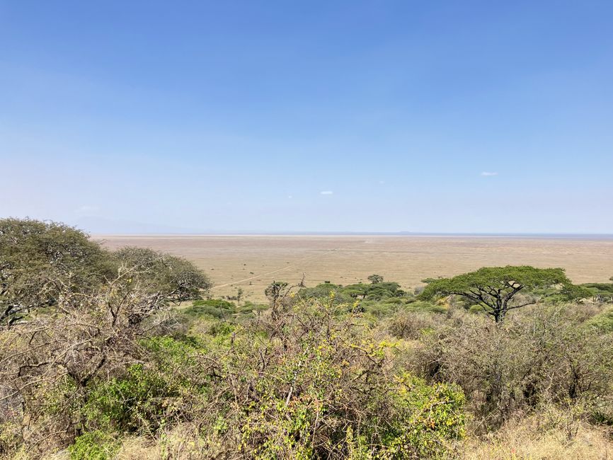 En la Serengeti - Día 1