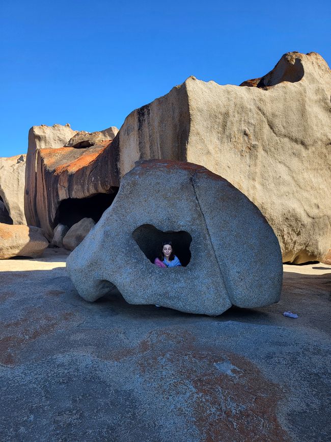Kangaroo Island with Baby M.