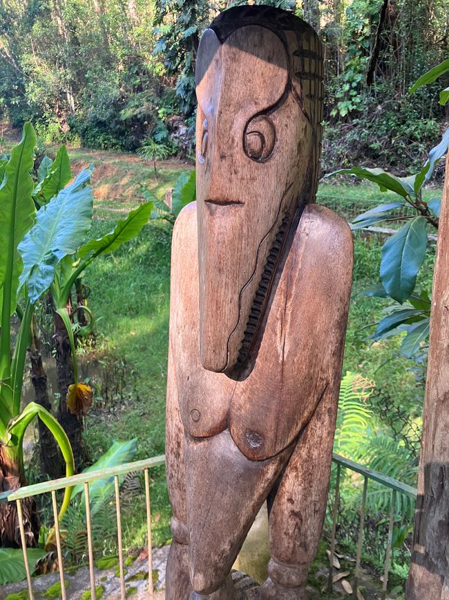 Maravilla de la naturaleza - Parque Nacional Andasibe