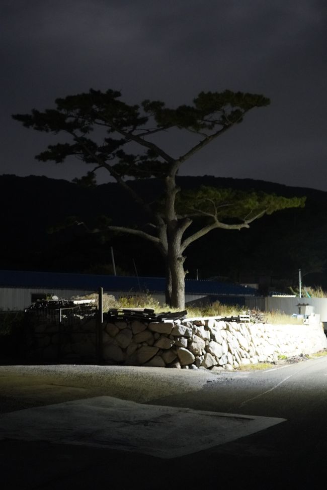 Playa de guijarros