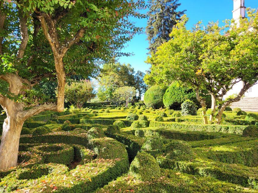 Französischer Garten
