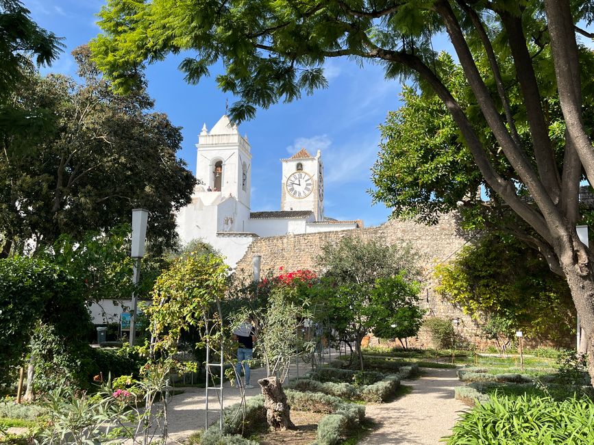 Tavira