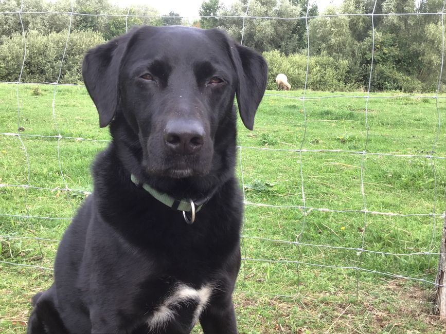 Friedland, wo alles so friedlich ist