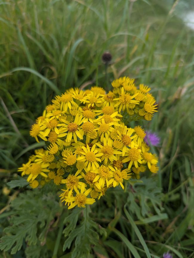 Äußere Hebriden - Barra