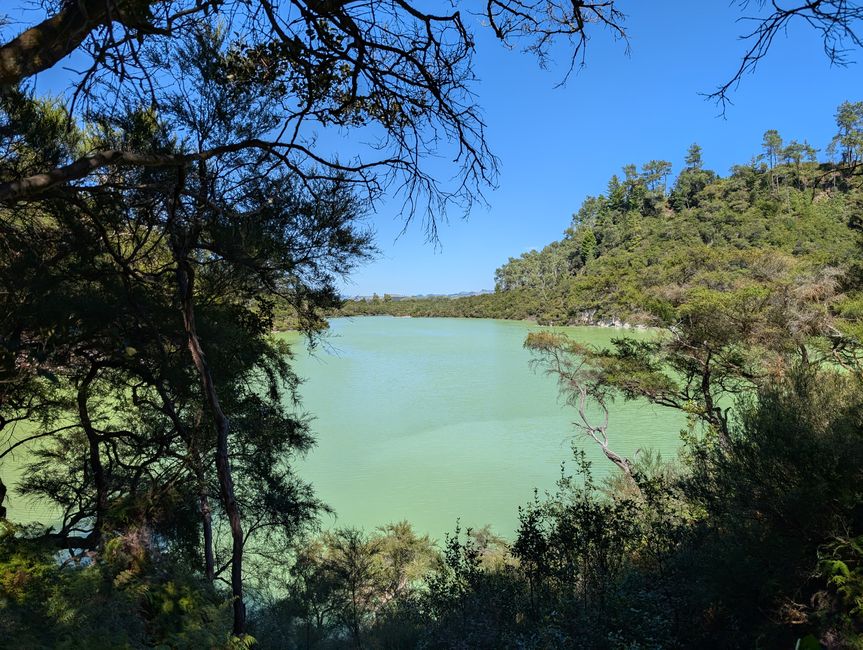 Heißes Zeug und Tauranga