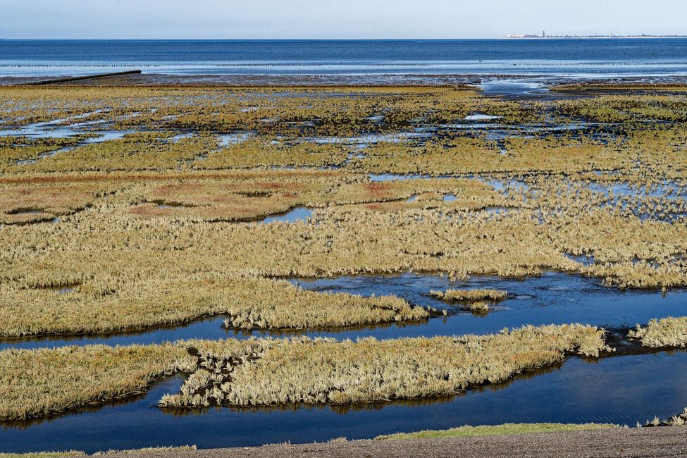 Hinter dem Deich