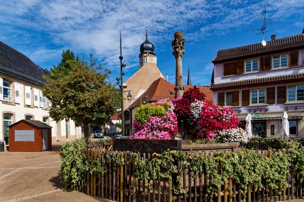 Reise in den Herbst