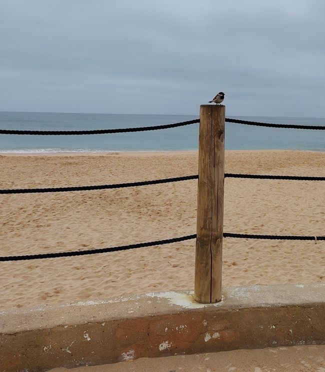 Salema -> Sagres