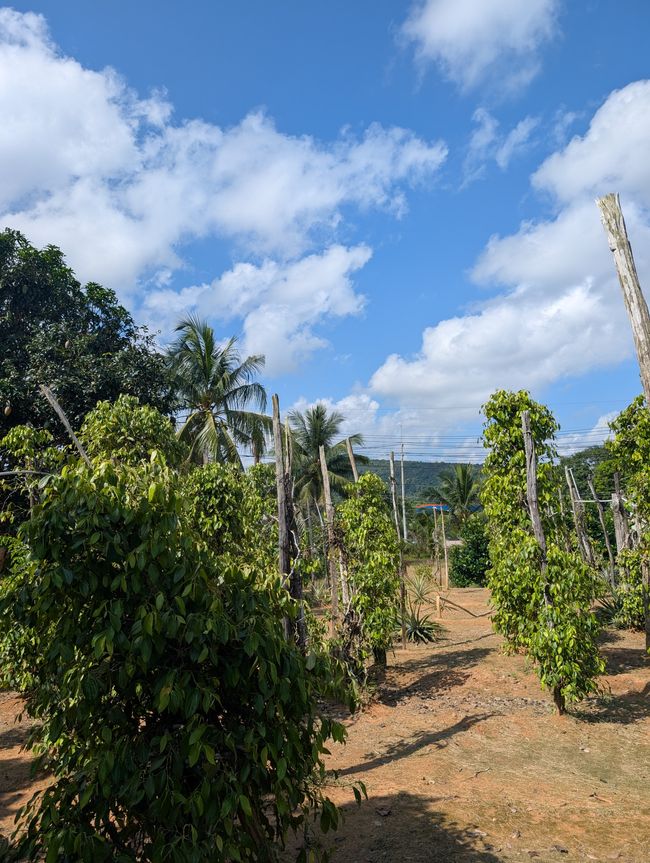 Eine ausgestreckte Hand am Fensterbrett