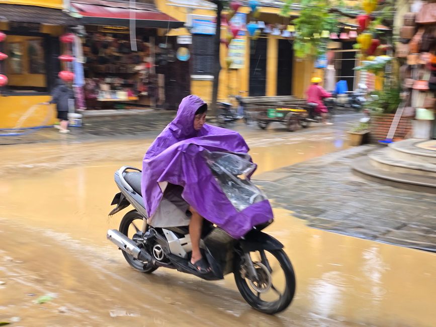 Hoi An - les travaux de nettoyage ont commencé