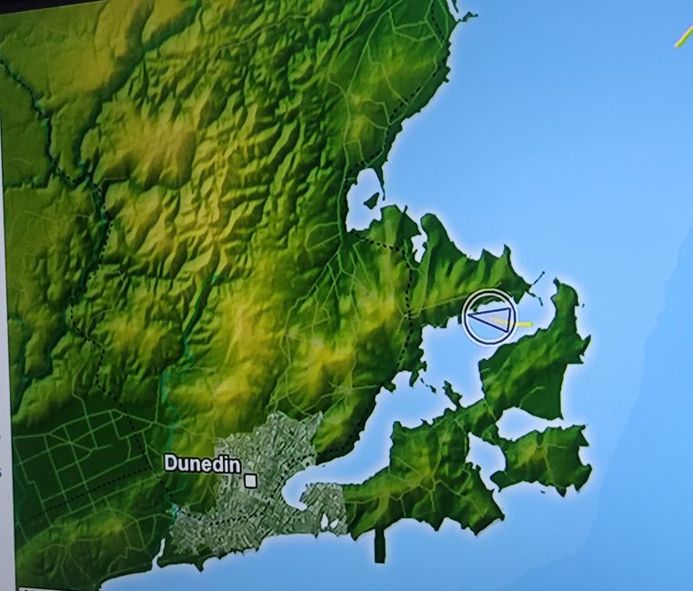 Jour 84 : Port Chalmers/Nouvelle-Zélande