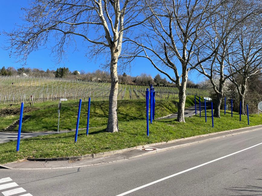 Début du chemin du vin