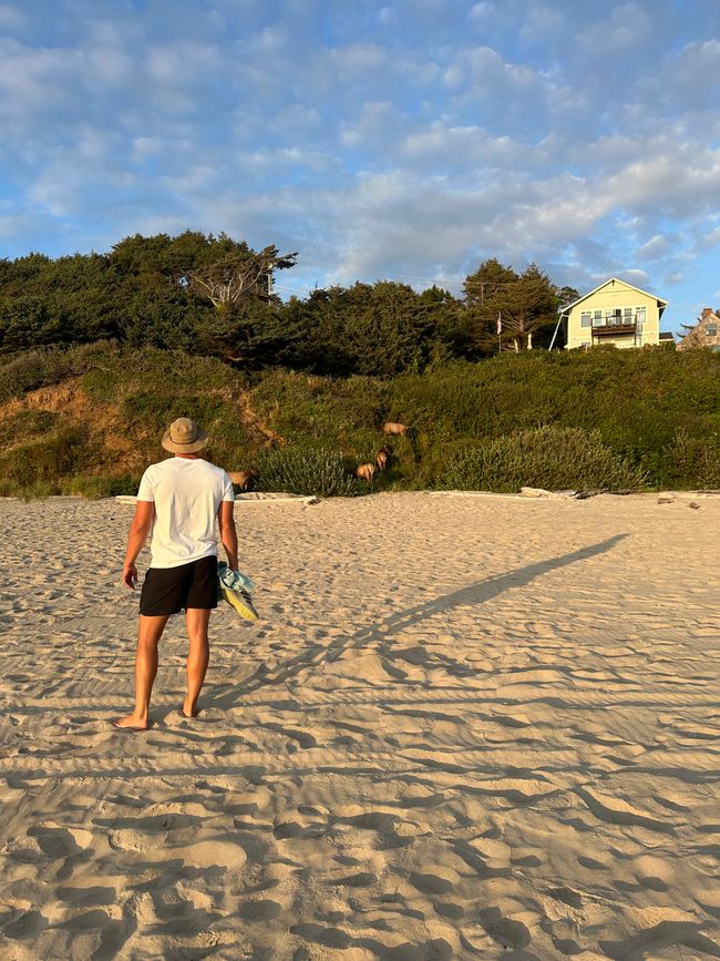 Oregón Playa del Pacífico