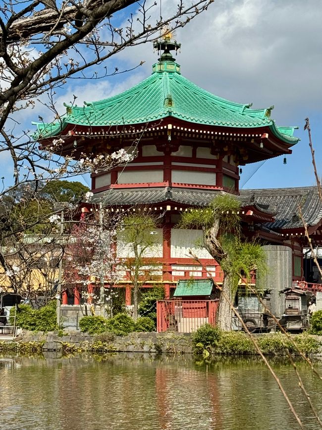 Parte 7
BENVENUTO IN GIAPPONE 🇯🇵
TOKYO