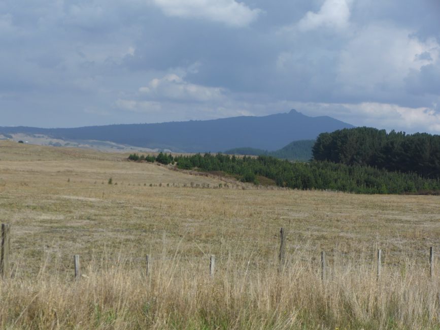 2025-03-29 Tongariro, Timber Trail und ...