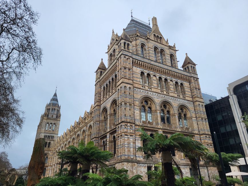 Natural History Museum