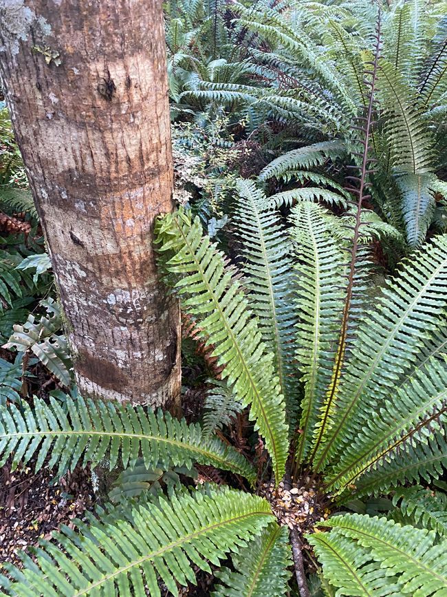 Von den Bergen ans Meer