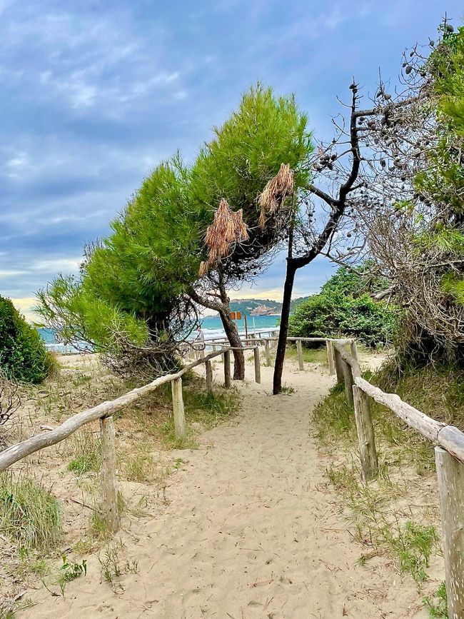 Der Zugang zu einem Strandabschnitt des Meeres – nicht der Lagunen!
