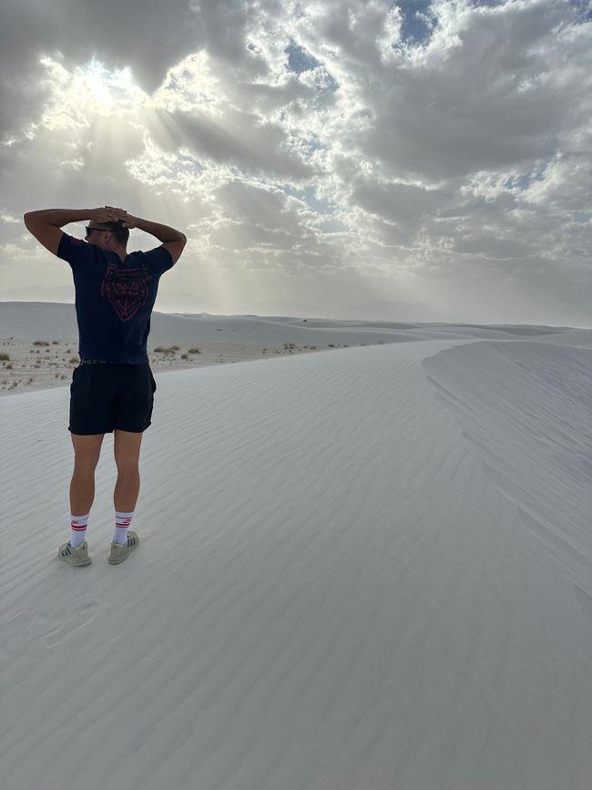 Arizona/ New Mexico/ Petrified Forest/White Sands