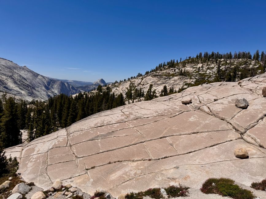 Olmsted Point