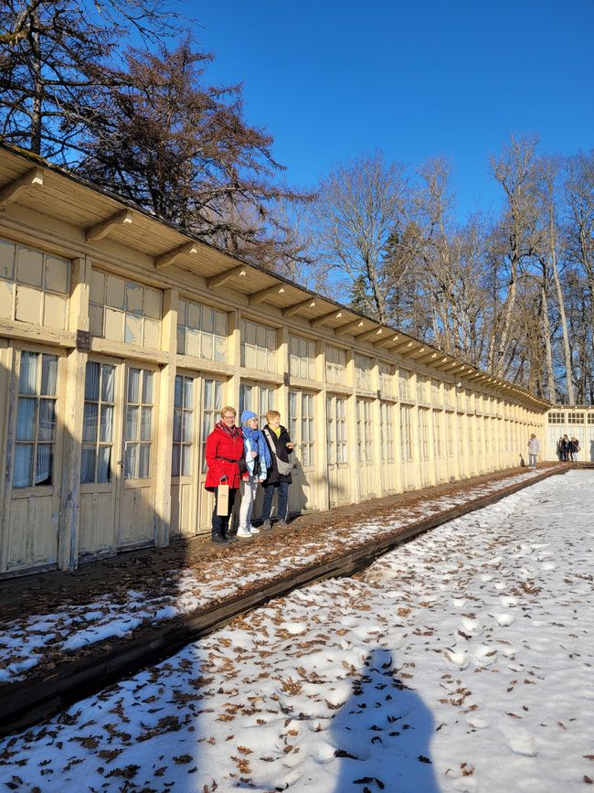 10. März Tag 4 beginnt 