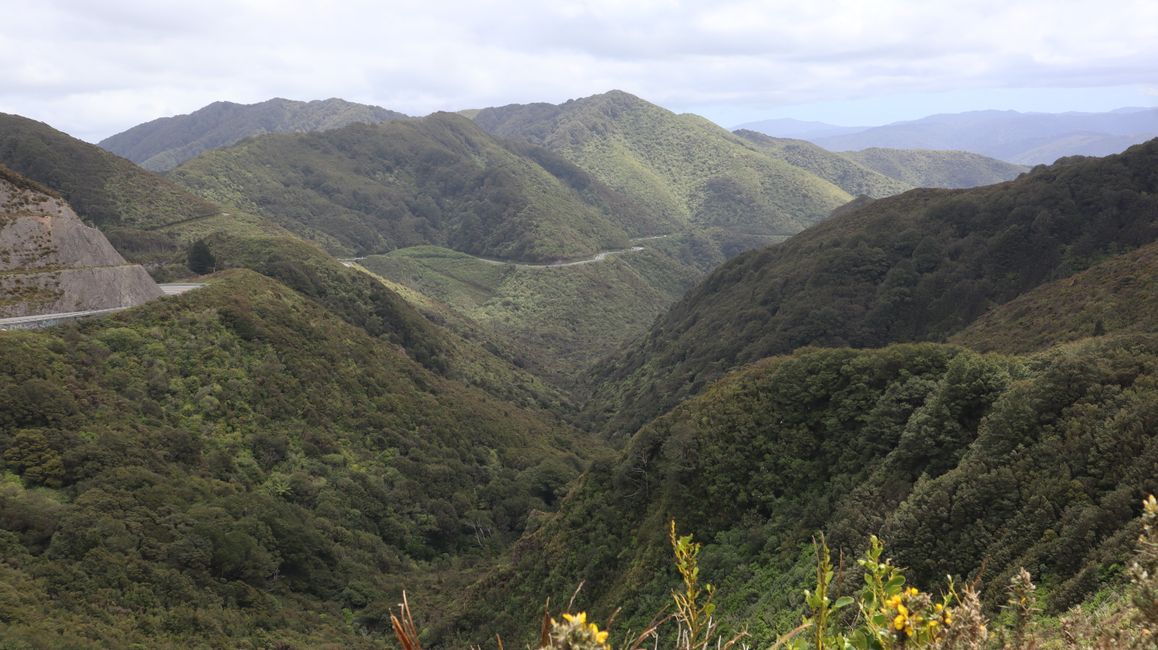Ausblick am Pass beim Remutaka Hill