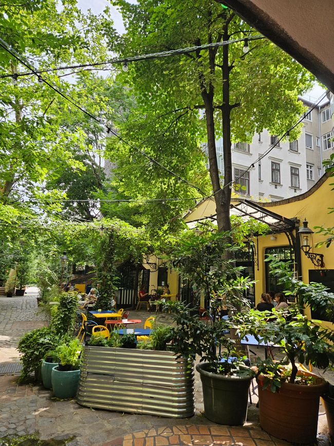 Kunst Haus Wien