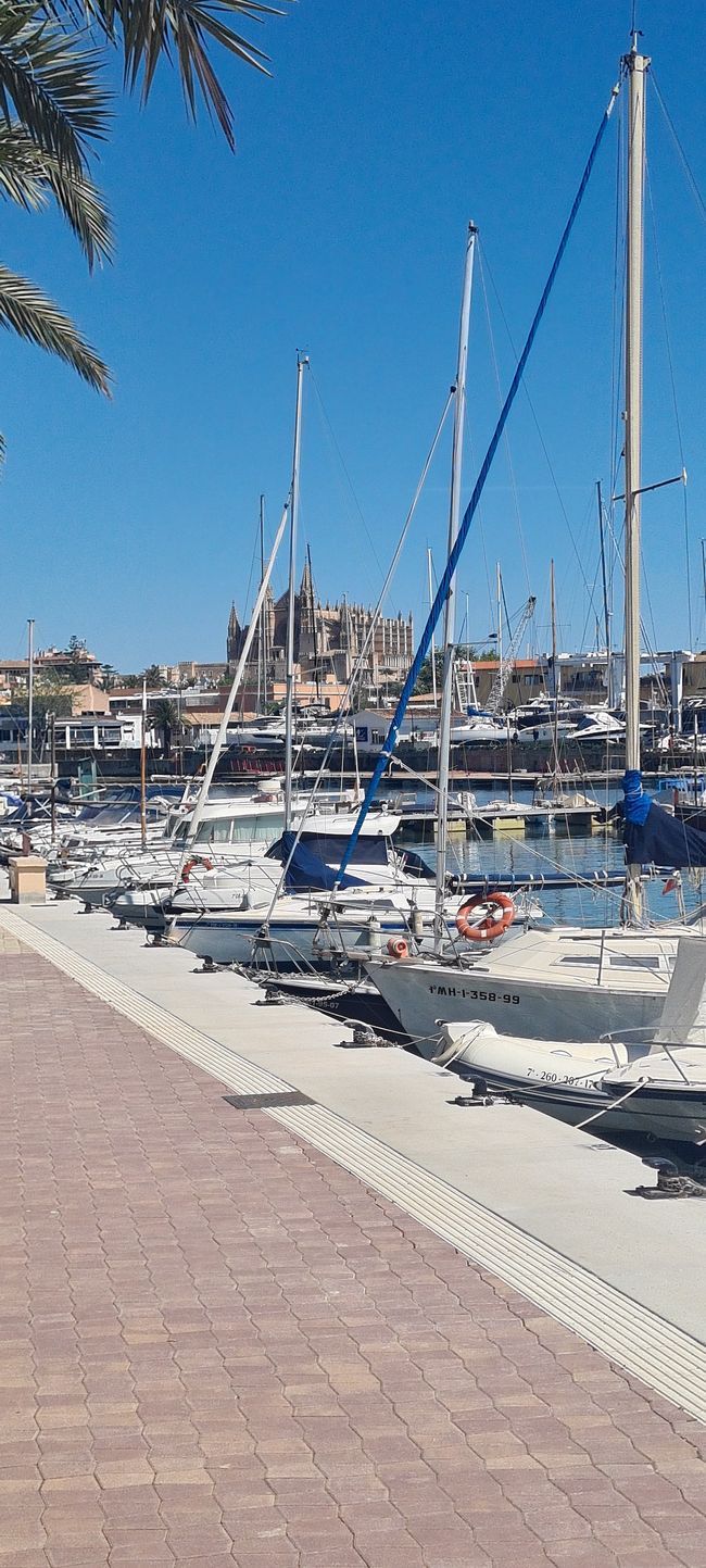 Das Finale von Pollenca nach Palma