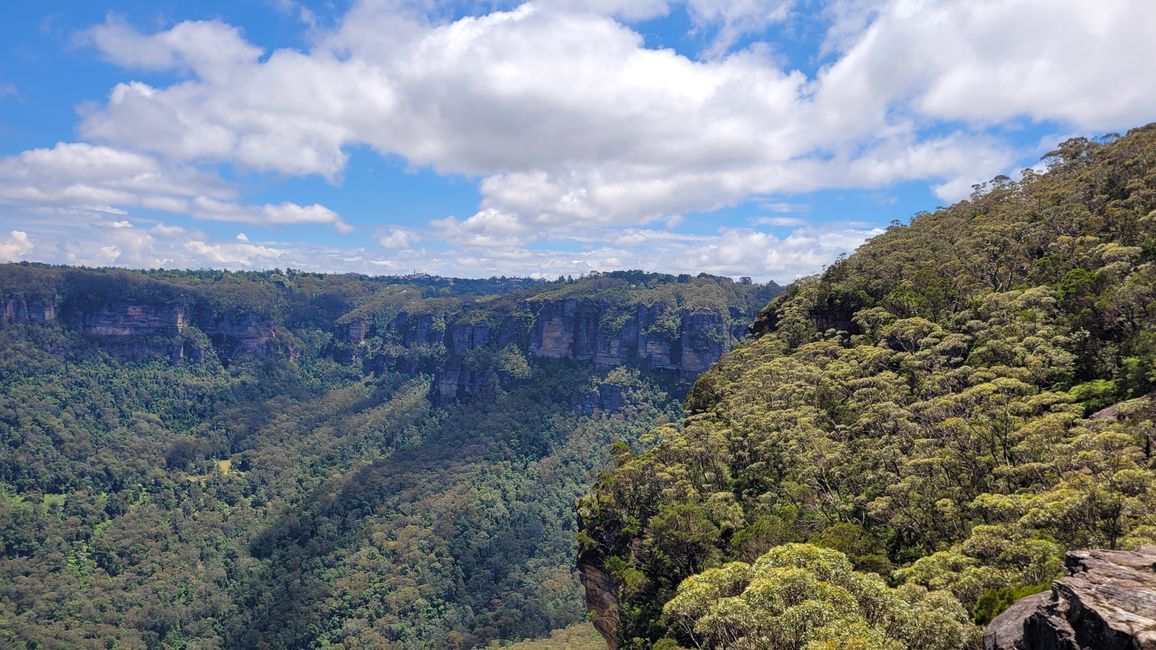 Blue Mountains – Eukalyptusbäume locken nicht nur Koalas an
