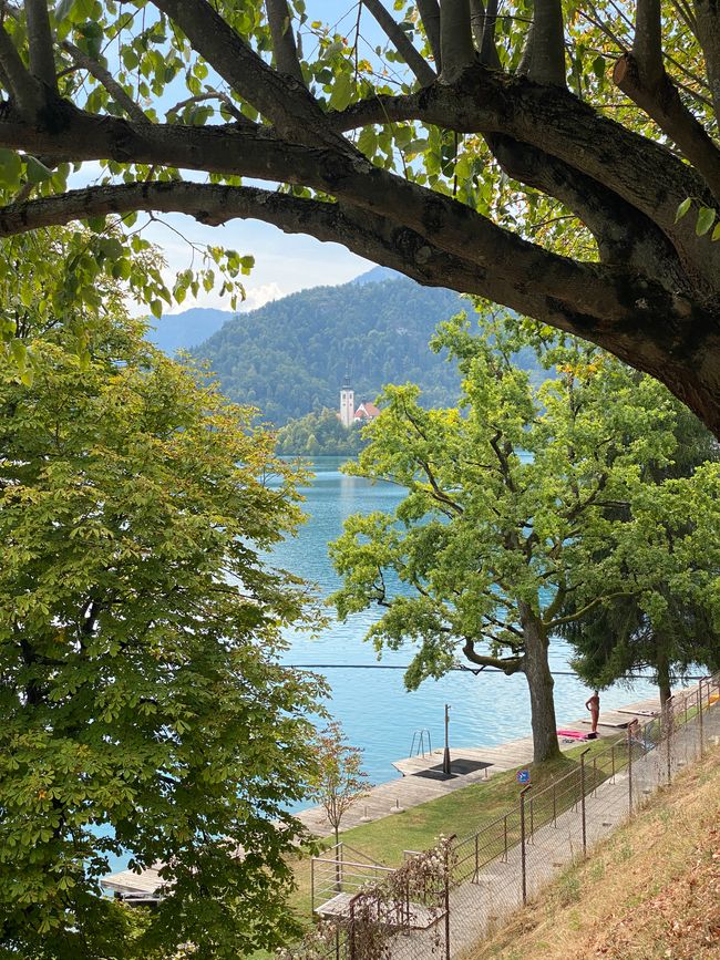 Tag 3 - Excursión al Lago de Bled