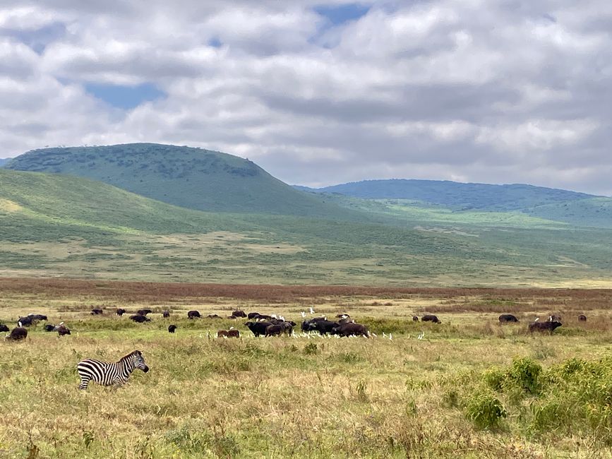 Il Cratere di Ngorongoro