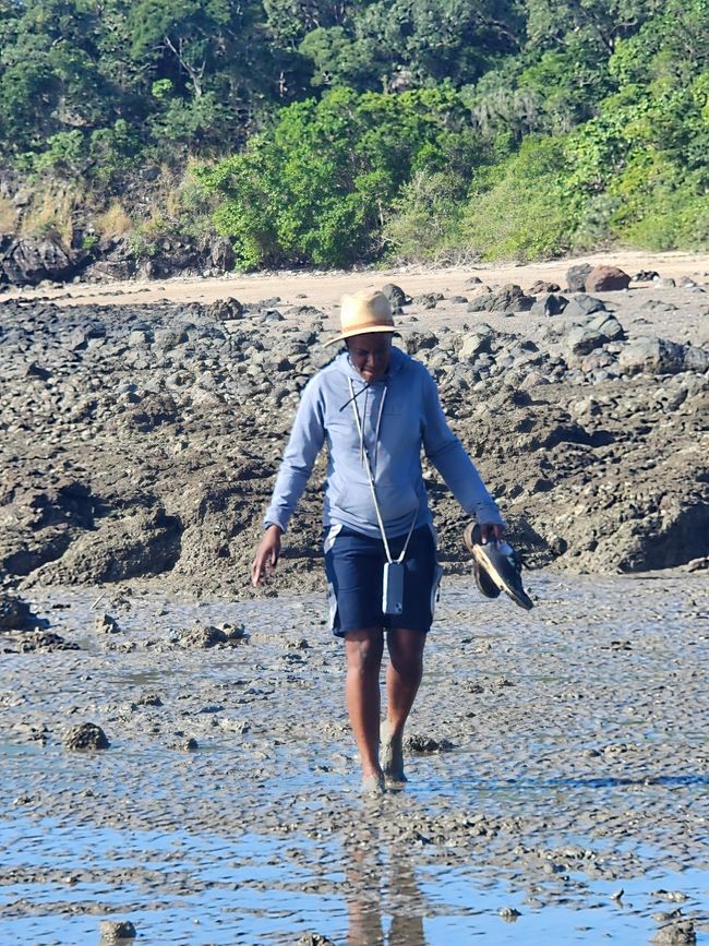 Tag 21, 15. Mai, Cape Hillsborough Nationalpark
